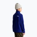Bluza polarowa dziecięca The North Face Teen Glacier 1/4 Zip bold blue 3