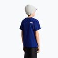 Koszulka dziecięca The North Face Evolution Half Dome SS Tee bold blue 5