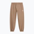 Spodnie damskie The North Face Evolution Simple Dome Regular garnet 4