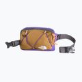 Saszetka nerka The North Face Terra Lumbar 1 l utility brown/peak purple