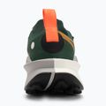 Buty do biegania męskie Nike Zegama 2 fir/desert ochre/college grey/sail 6