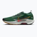 Buty do biegania męskie Nike Pegasus Trail 5 GORE-TEX fir/bright crimson/clay green 2
