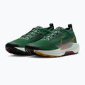 Buty do biegania męskie Nike Pegasus Trail 5 GORE-TEX fir/bright crimson/clay green 7