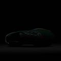 Buty do biegania męskie Nike Pegasus Trail 5 GORE-TEX fir/bright crimson/clay green 10