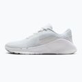 Buty treningowe męskie Nike Flex Train white/photon dust/white 9