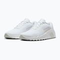 Buty treningowe męskie Nike Flex Train white/photon dust/white 10