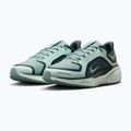 Buty do biegania damskie Nike Pegasus 41 GORE-TEX cannon/barely green/bleached turq 3