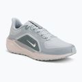 Buty do biegania męskie Nike Pegasus 41 GTX light pumice/pure platinum/silt red/metal silver