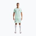 Spodenki piłkarskie męskie Nike FFF 2026 Match Away Aero-FIT igloo/monarch/monarch 2