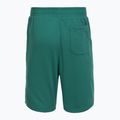 Spodenki treningowe męskie Under Armour Rival LW Graphic rack green/black 6
