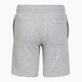 Spodenki dziecięce Under Armour Rival LW Shorts mod gray light heather/black 2