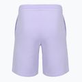 Spodenki męskie New Balance Fleece Short 9" daybreak 2
