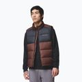 Bezrękawnik męski Columbia Pike Lake II tobacco/black 4