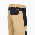 Spodnie snowboardowe męskie Columbia Coreshot canoe/black 15