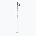Kije narciarskie Salomon Steep white/black 2