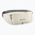 Pas do biegania Salomon Pulse Sling icicle/castlerock
