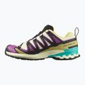 Buty do biegania męskie Salomon XA PRO 3D V9 GTX transparent yellow/black/waterfall 9