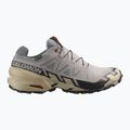 Buty do biegania męskie Salomon Speedcross 6 GTX gull/white pepper/black 2
