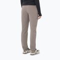 Spodnie trekkingowe damskie Salomon Wayfarer Warm iron 2