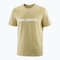 Koszulka męska Salomon Logo gray green 3