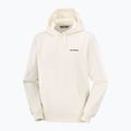Bluza męska Salomon Chest Logo Hoodie whisper white 5
