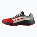 Buty do biegania męskie Salomon Alphaglide GTX flame scarlet/black/pewter 9