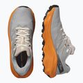 Buty do biegania męskie Salomon Ultra Flow 2 GTX gull/turmeric/white pepper 8