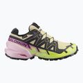Buty do biegania damskie Salomon Speedcross 6 GTX bog/dawn pink