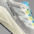 Buty do biegania męskie Salomon Aero Blaze 3 GRVL vanilla ice/ojos del salar/black 8