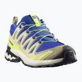 Buty do bieganie męskie Salomon XA Pro 3D V9 bluing/bog/acid lime 2