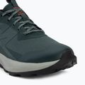 Buty turystyczne męskie Salomon Elixir Activ GTX scarab/green gable 7