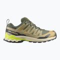 Buty do biegania męskie Salomon XA Pro 3D V9 GTX grape leaf/aloe