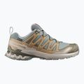 Buty do biegania męskie Salomon XA Pro 3D V9 GTX sedona sage/brilliant olive