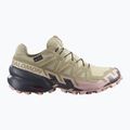 Buty do biegania damskie Salomon Speedcross 6 GTX eucalyptus/slate green