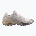Buty do biegania męskie Salomon Speedcross 6 silver cloud/paloma