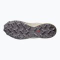 Buty do biegania męskie Salomon Speedcross 6 silver cloud/paloma 5