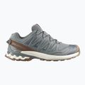 Buty do biegania męskie Salomon XA Pro 3D V9 GTX Lifelong sedona sage/coyote brown