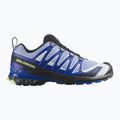 Buty do biegania męskie Salomon XA Pro 3D V9 Icon black/brunnera blue