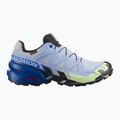 Buty do biegania męskie Salomon Speedcross 6 GTX Icon brunnera blue/surf the web