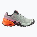 Buty do biegania damskie Salomon Speedcross 6 GTX Icon black/green milieu