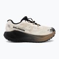 Buty do biegania damskie Salomon Aero Blaze 4 GRVL GTX vanilla ice/black 2
