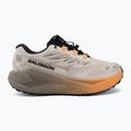 Buty do biegania damskie Salomon Aero Blaze 4 GRVL GTX rainy day/black 2