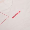 Koszulka do biegania męska Salomon S\Lab Speed Tee SS lilac ash 3