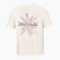 Koszulka do biegania męska Salomon Shakeout Core GFX SS Tee whisper white/pink frosting 6
