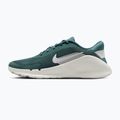 Buty treningowe męskie Nike Flex Train mineral slate/spruce aura/white 2