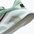 Buty treningowe damskie Nike Flex Train steam/light silver/barely green/black 8