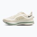 Buty do biegania męskie Nike Pegasus Premium Pale ivory/jade horizon/black spruce 2