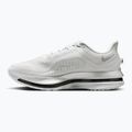 Buty do biegania męskie Nike Pegasus Premium photon dust/metallic Silver/black 2
