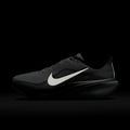 Buty do biegania męskie Nike Pegasus 42 summit white/metallic silver-photon dust 5