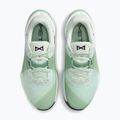 Buty treningowe damskie Nike Metcon 10 barely green/steam/light silver/black 5